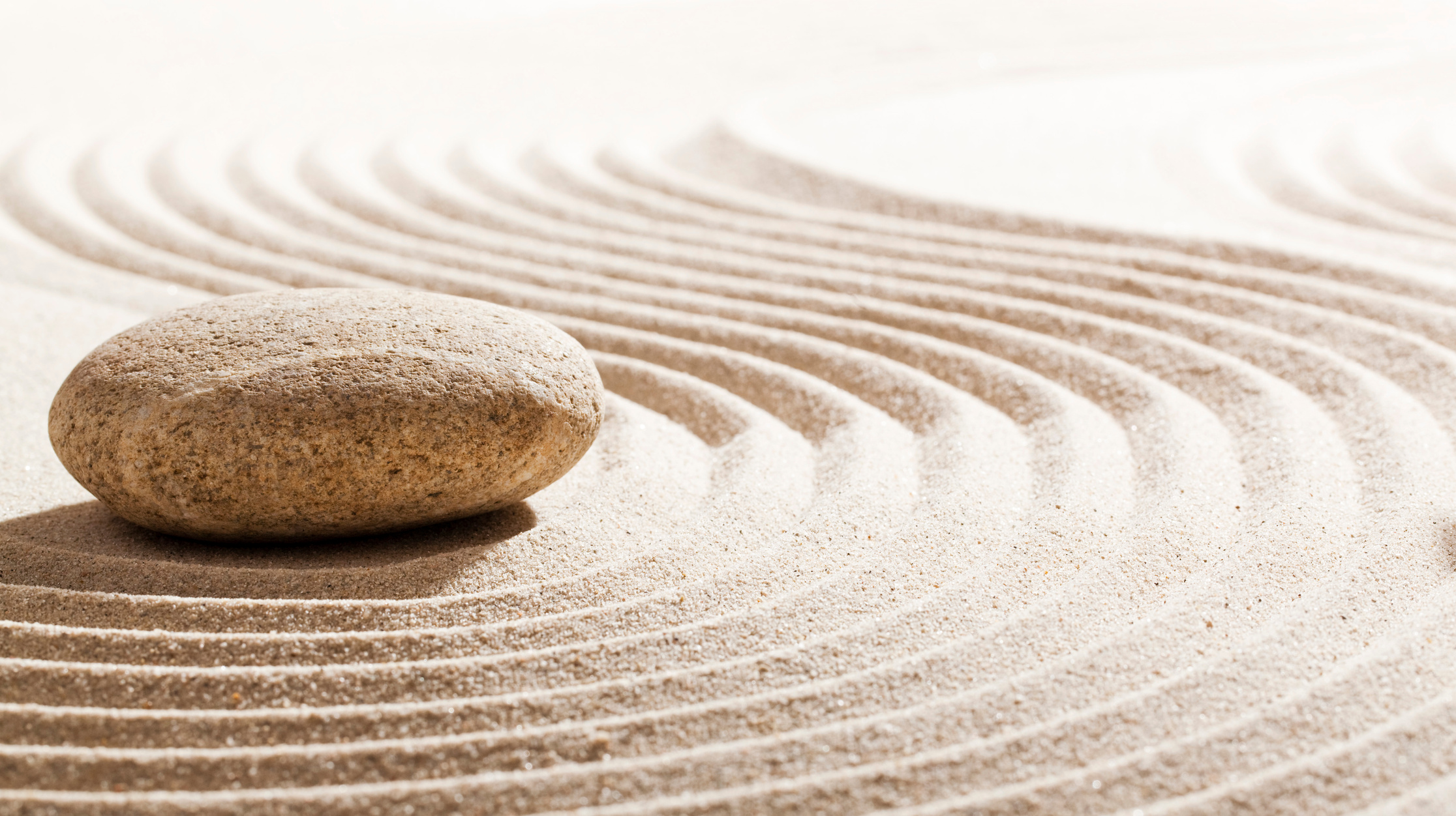 zen reflection for wellbeing